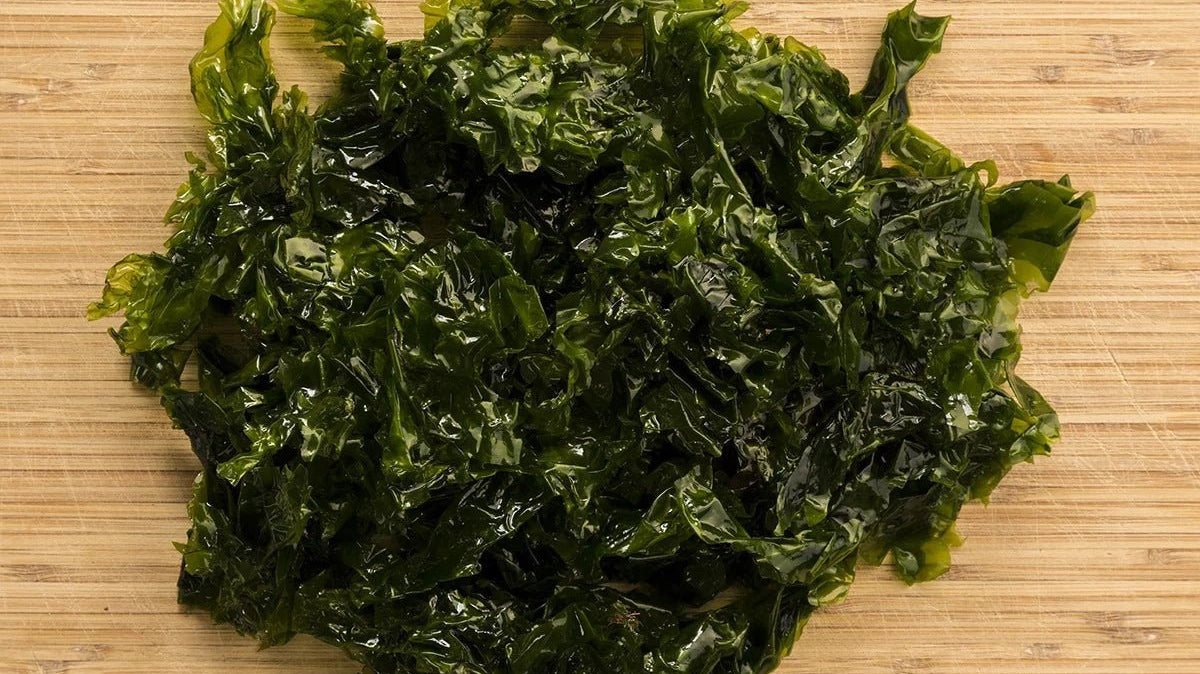 Sea Lettuce