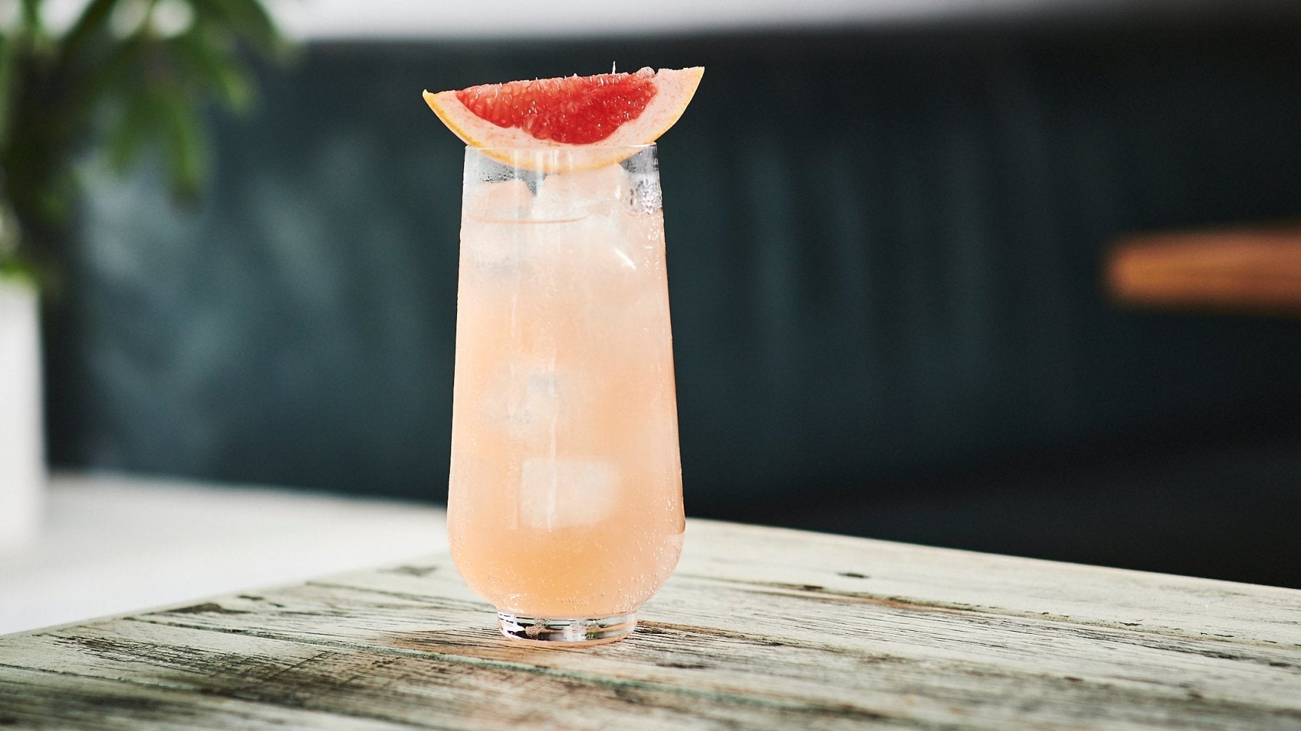 Margarita Cello Paloma