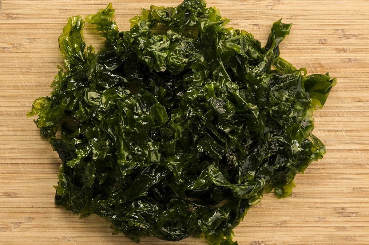 Sea Lettuce